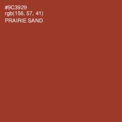 #9C3929 - Prairie Sand Color Image